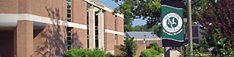 secondary banner image