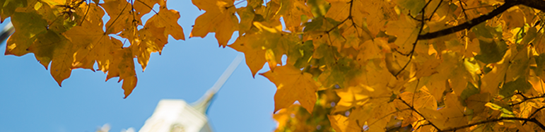 secondary banner image